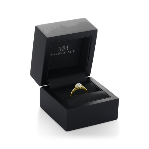 Seraphina - Bague de fiançailles en moissanite avec halo