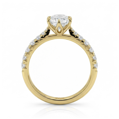 Lumiere - Bague en moissanite taille radiant avec pierres serties en pavé