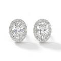 Ellipse - Puces d’oreilles en moissanite ovale en serti halo